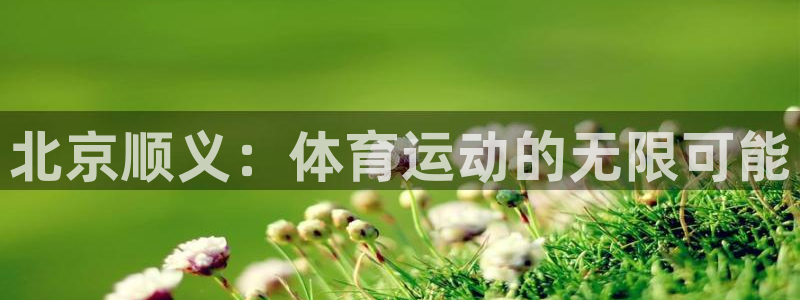 三亿体育网页版：北京顺义：体育运动的无限可能