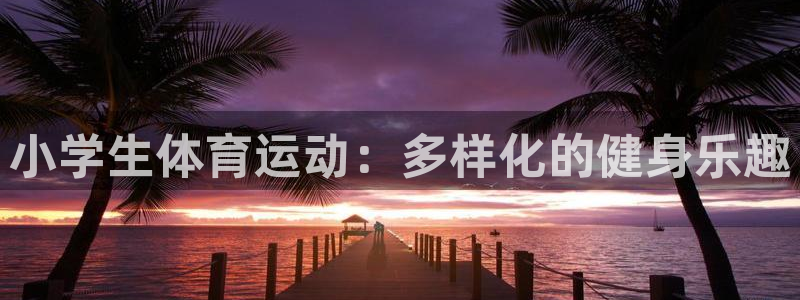 三亿体育网页版：小学生体育运动：多样化的健身乐趣