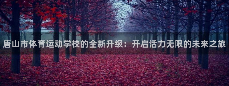 三亿体育：唐山市体育运动学校的全新升级：开启活力无限的未来之旅