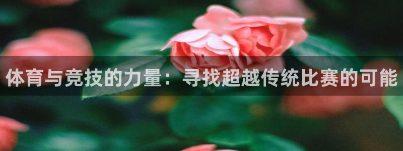 三亿体育网页版：体育与竞技的力量：寻找超越传统比赛的可能