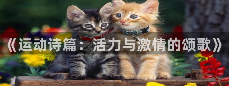 三亿体育登录：《运动诗篇：活力与激情的颂歌》