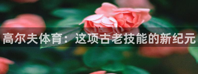 三亿体育网：高尔夫体育：这项古老技能的新纪元